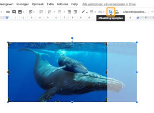 Afbeelding bijsnijden in Google Documenten